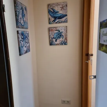 Onkel Tom Amazonien & Ozeanien Paderborn