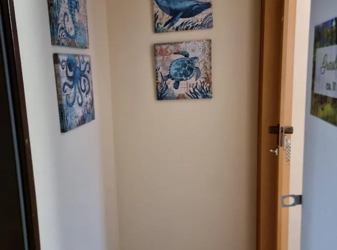 Onkel Tom Amazonien & Ozeanien Paderborn